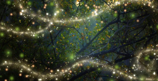 Exploring Nature's Quantum Symphony, Part 2