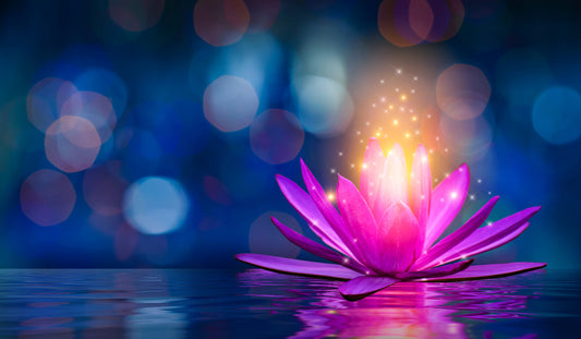 Exploring the Consciousness of Nature