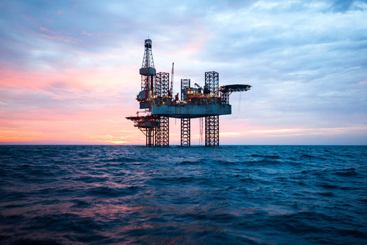 Protecting Our Sentient Planet: Combating Climate Change Through Carbon Sequestration